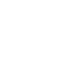 icons8-parliament-100 (1)